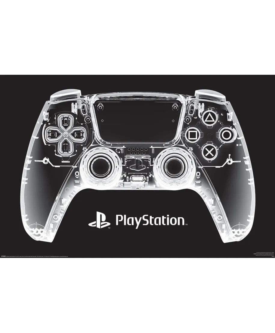 Playstation X-Ray Pad - plakat