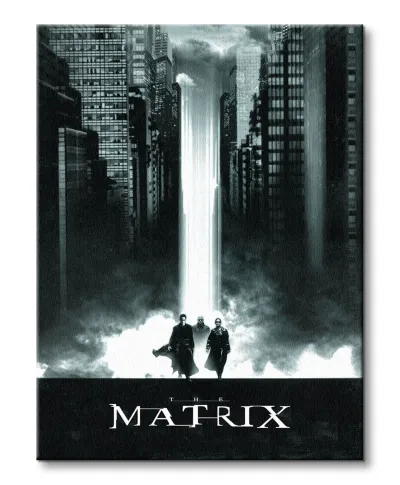 The Matrix Lightfall - obraz na płótnie