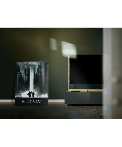 The Matrix Lightfall - obraz na płótnie