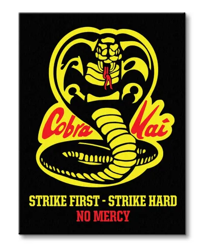 Cobra Kai No Mercy - obraz na płótnie