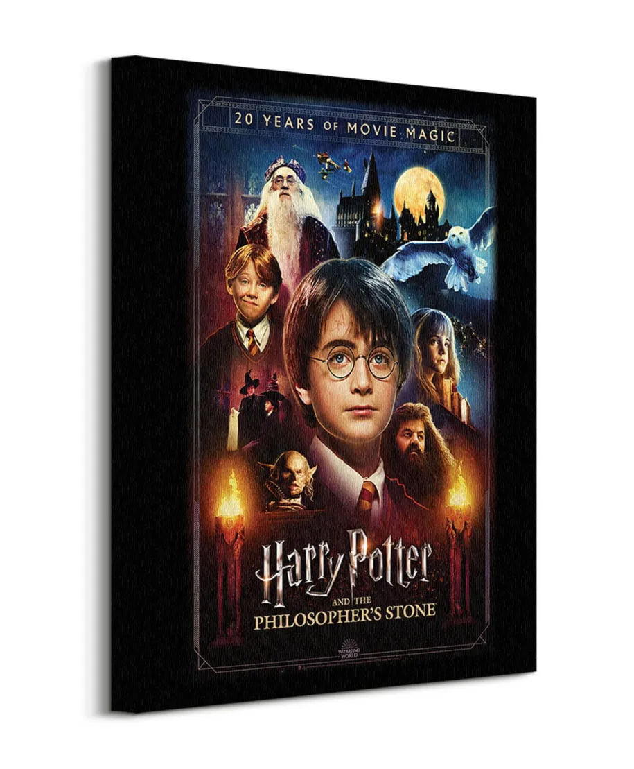 Harry Potter 20 Years Of Movie Magic - obraz na płótnie