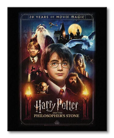 Harry Potter 20 Years Of Movie Magic - obraz na płótnie