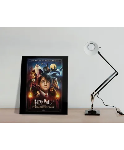 Harry Potter 20 Years Of Movie Magic - obraz na płótnie