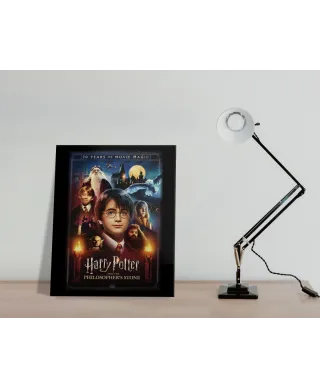 Harry Potter 20 Years Of Movie Magic - obraz na płótnie