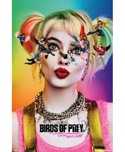 Birds Of Prey Dazed and Confused - plakat