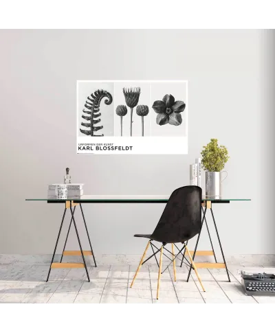 Urformen Der Kunst - plakat