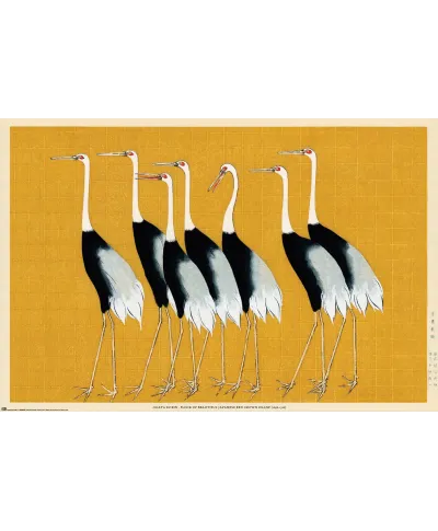 Red Crown Crane - plakat