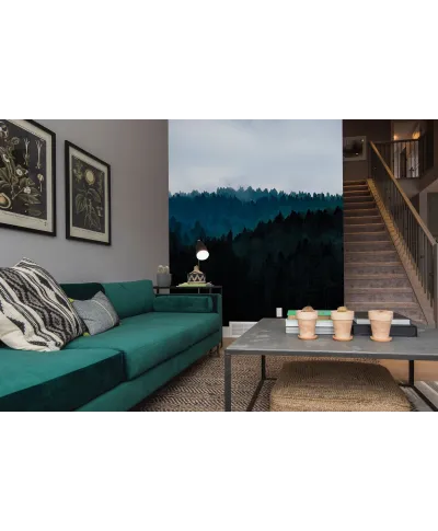 Ponury Las - fototapeta