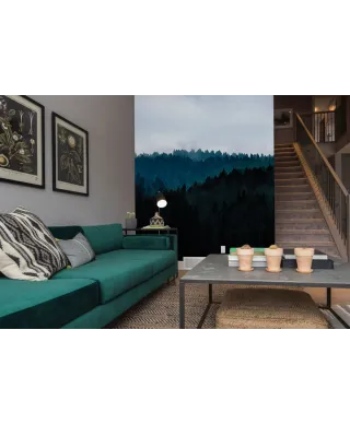 Ponury Las - fototapeta