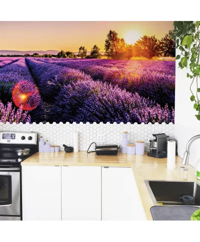 Pole Lawendy - fototapeta