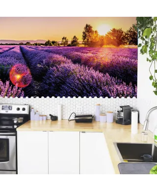 Pole Lawendy - fototapeta