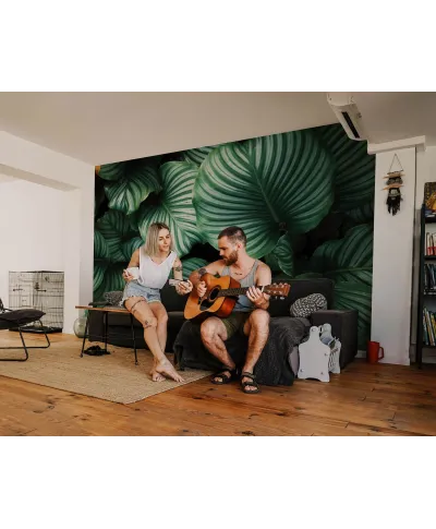 Kalatea Okrągłolistna - fototapeta