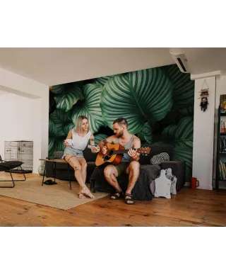 Kalatea Okrągłolistna - fototapeta