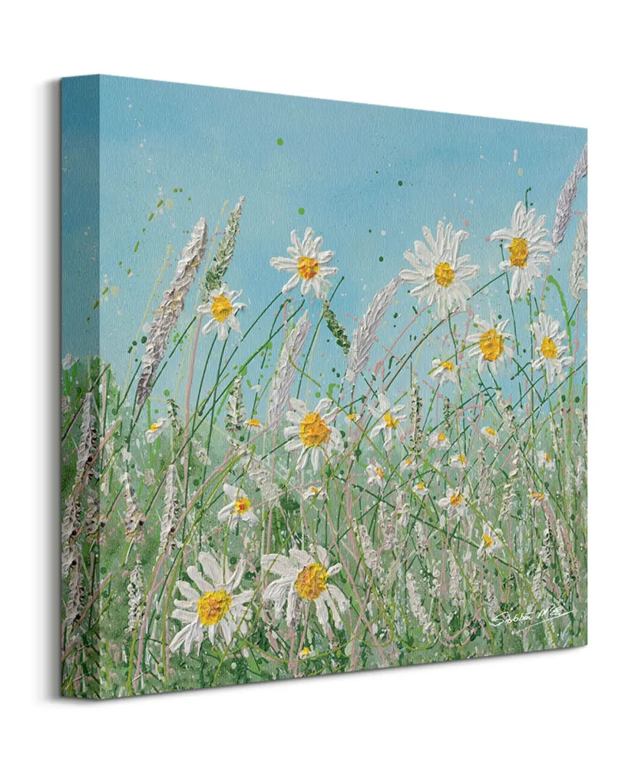 Daisy Meadow - obraz na płótnie