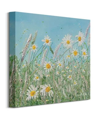Daisy Meadow - obraz na płótnie