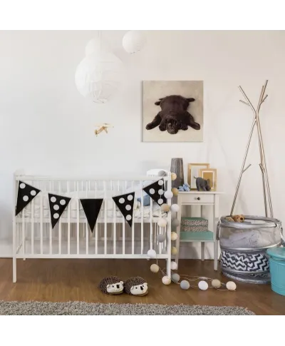 Oscar - Obraz na płótnie