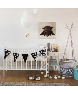 Oscar - Obraz na płótnie