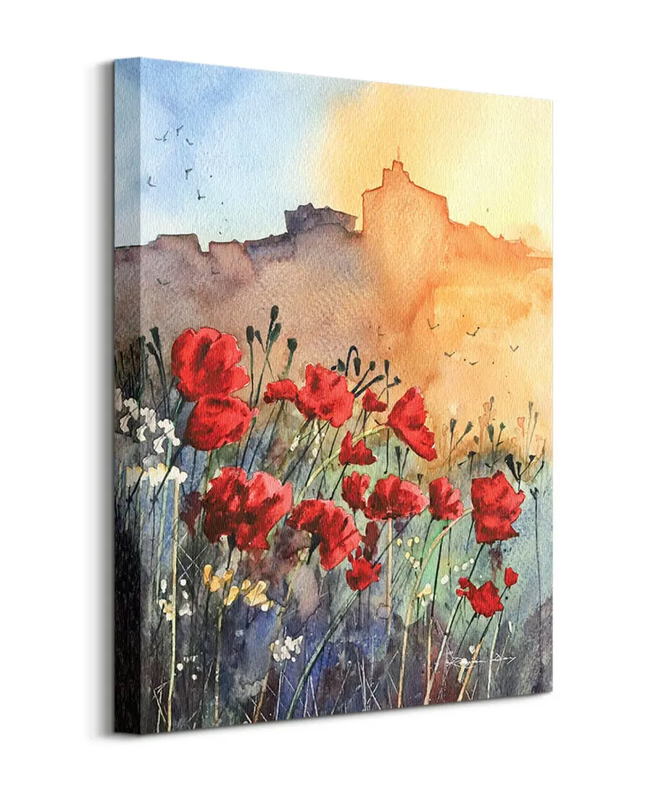 Poppies - obraz na płótnie