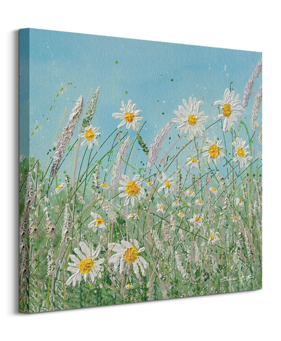 Daisy Meadow - obraz na płótnie