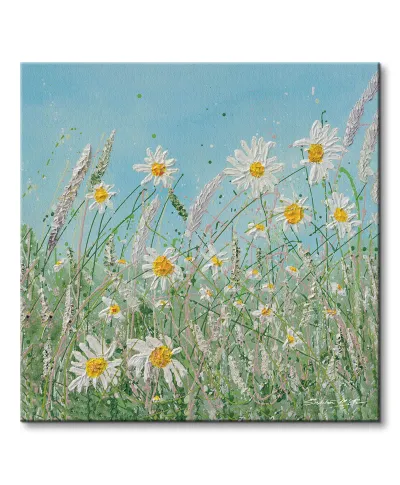 Daisy Meadow - obraz na płótnie