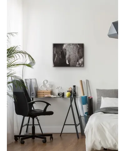 Słoń - Obraz na płótnie