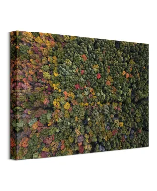 Barwy Natury - Obraz na płótnie