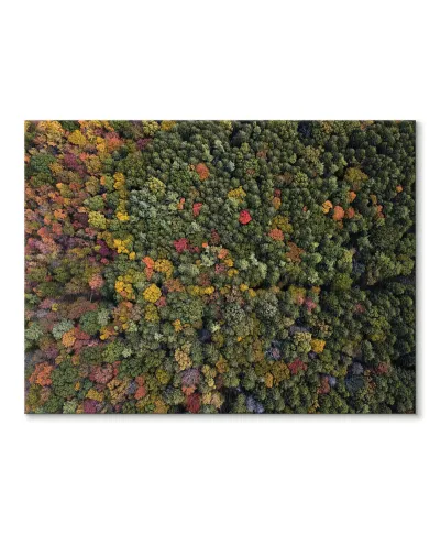 Barwy Natury - Obraz na płótnie