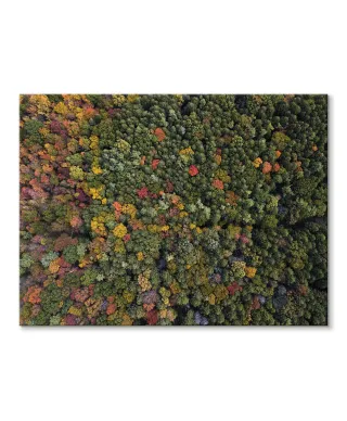 Barwy Natury - Obraz na płótnie