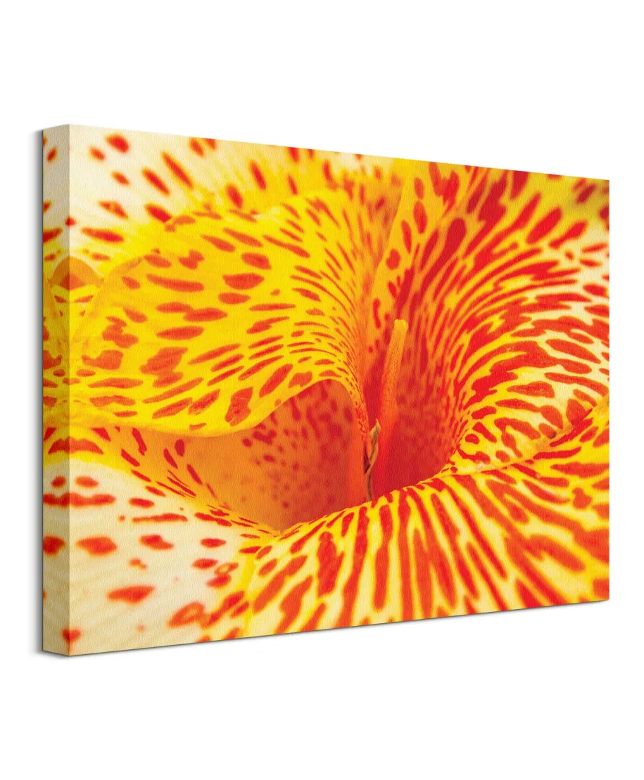 Alstremeria - Obraz na płótnie