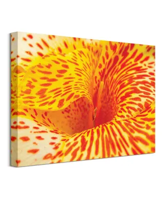 Alstremeria - Obraz na płótnie