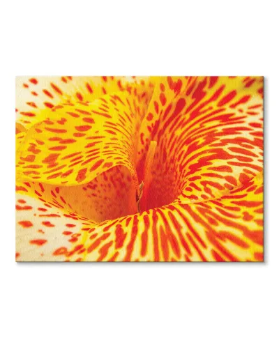 Alstremeria - Obraz na płótnie