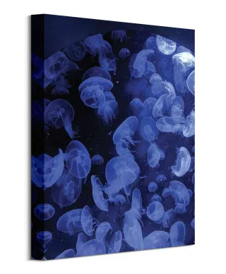 Meduzy - Obraz na płótnie