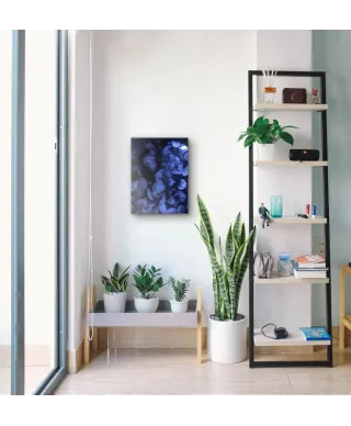 Meduzy - Obraz na płótnie