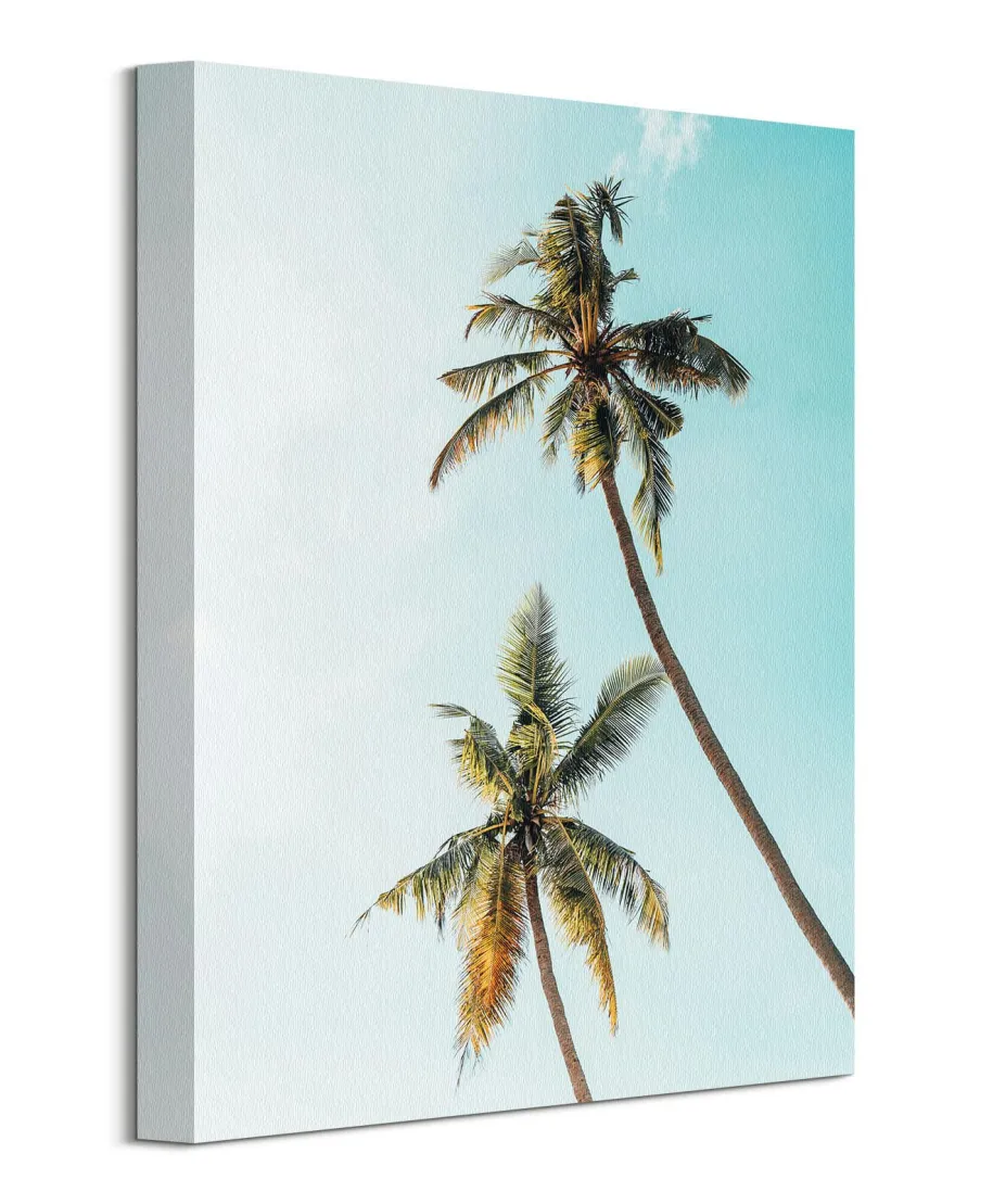 Palmy w Słońcu - Obraz na płótnie