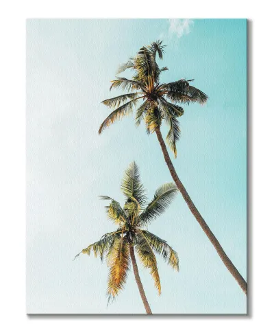Palmy w Słońcu - Obraz na płótnie