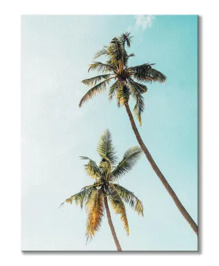 Palmy w Słońcu - Obraz na płótnie