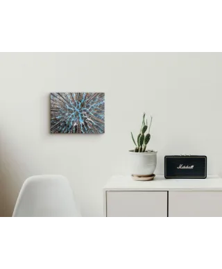 Korony drzew w słońcu - Obraz na płótnie