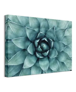 Cactus - Obraz na płótnie