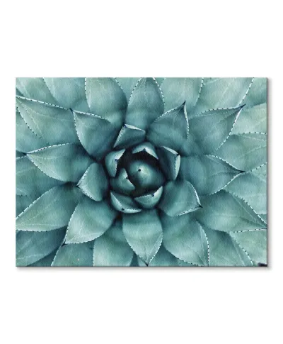 Cactus - Obraz na płótnie