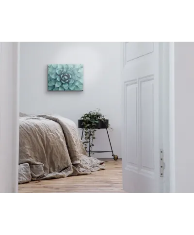 Cactus - Obraz na płótnie