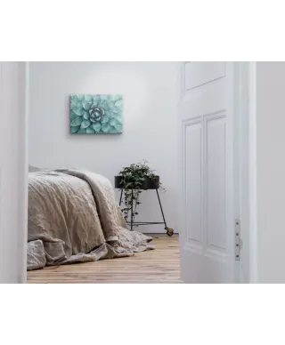 Cactus - Obraz na płótnie