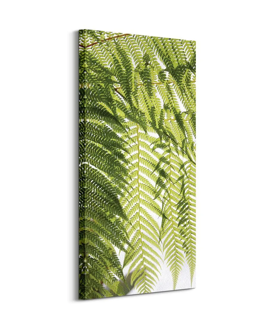 Liście Paproci - obraz na płótnie