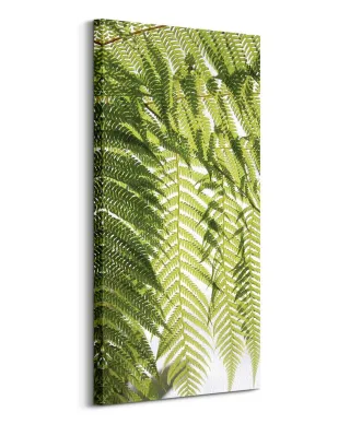 Liście Paproci - obraz na płótnie