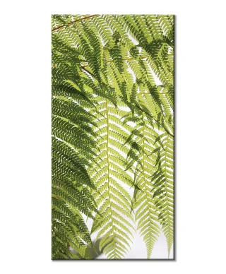 Liście Paproci - obraz na płótnie