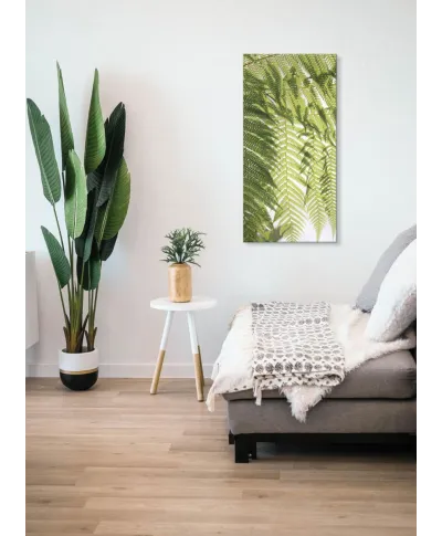 Liście Paproci - obraz na płótnie