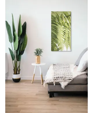 Liście Paproci - obraz na płótnie