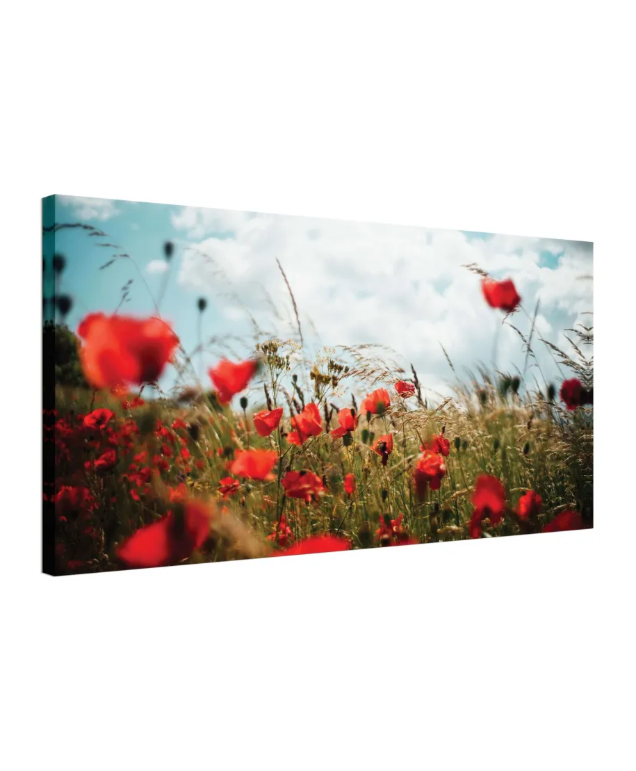 Pole Maków - obraz na płótnie