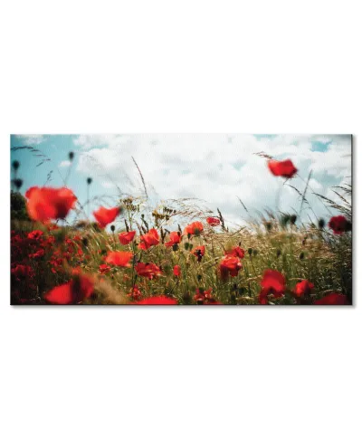 Pole Maków - obraz na płótnie