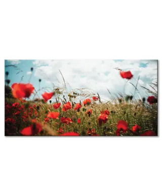 Pole Maków - obraz na płótnie