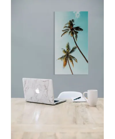 Palmy w Słońcu - obraz na płótnie
